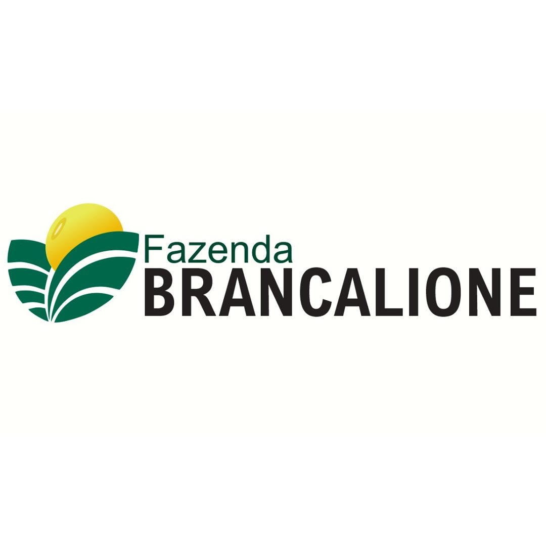 logos_0003_Camada-6